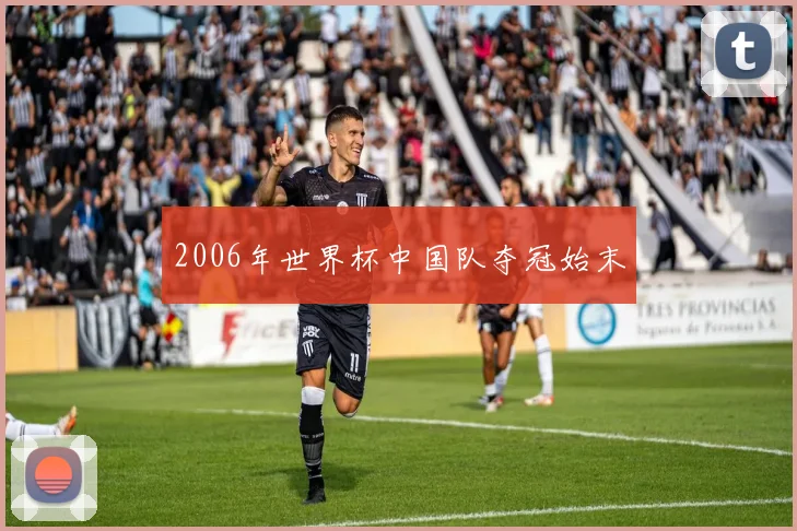 2006年世界杯中国队夺冠始末
