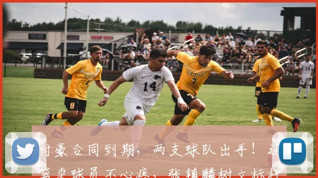 付豪合同到期，两支球队出手！辽篮卖球员不心疼，张镇麟树立标杆