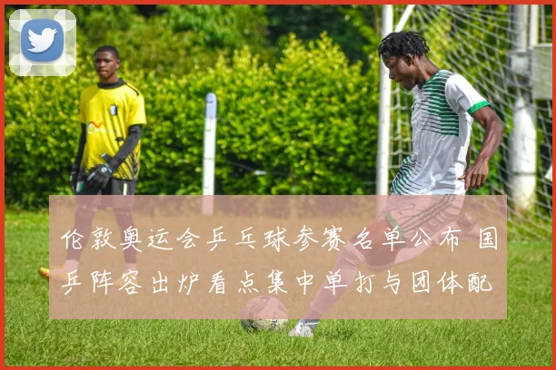 伦敦奥运会乒乓球参赛名单公布 国乒阵容出炉看点集中单打与团体配置