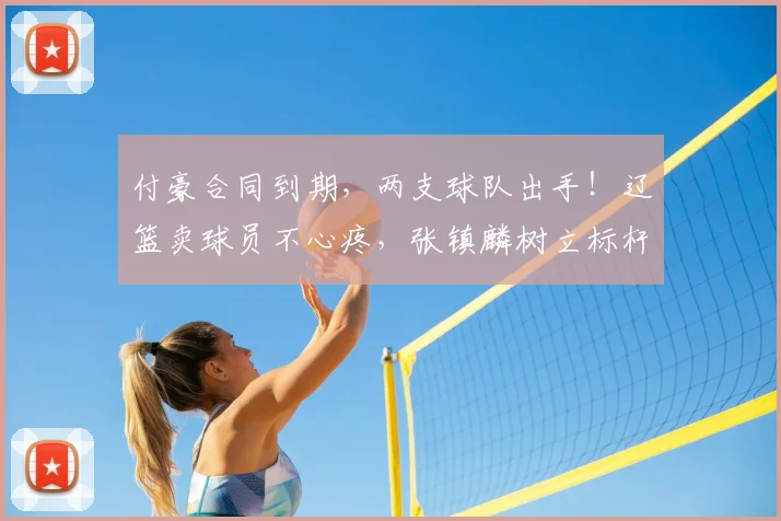 付豪合同到期，两支球队出手！辽篮卖球员不心疼，张镇麟树立标杆