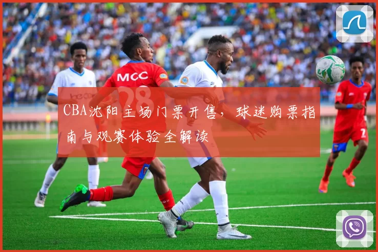 CBA沈阳主场门票开售，球迷购票指南与观赛体验全解读