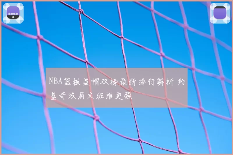 NBA篮板盖帽双榜最新排行解析 约基奇浓眉文班谁更强