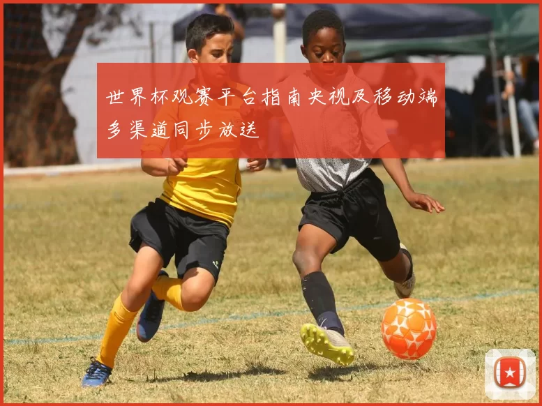 世界杯观赛平台指南央视及移动端多渠道同步放送