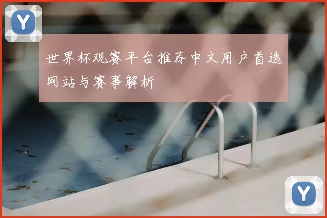 世界杯观赛平台推荐中文用户首选网站与赛事解析