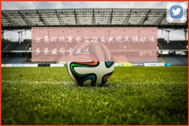 世界杯观赛平台指南央视及移动端多渠道同步放送