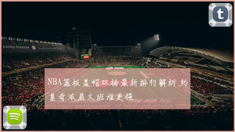 NBA篮板盖帽双榜最新排行解析 约基奇浓眉文班谁更强